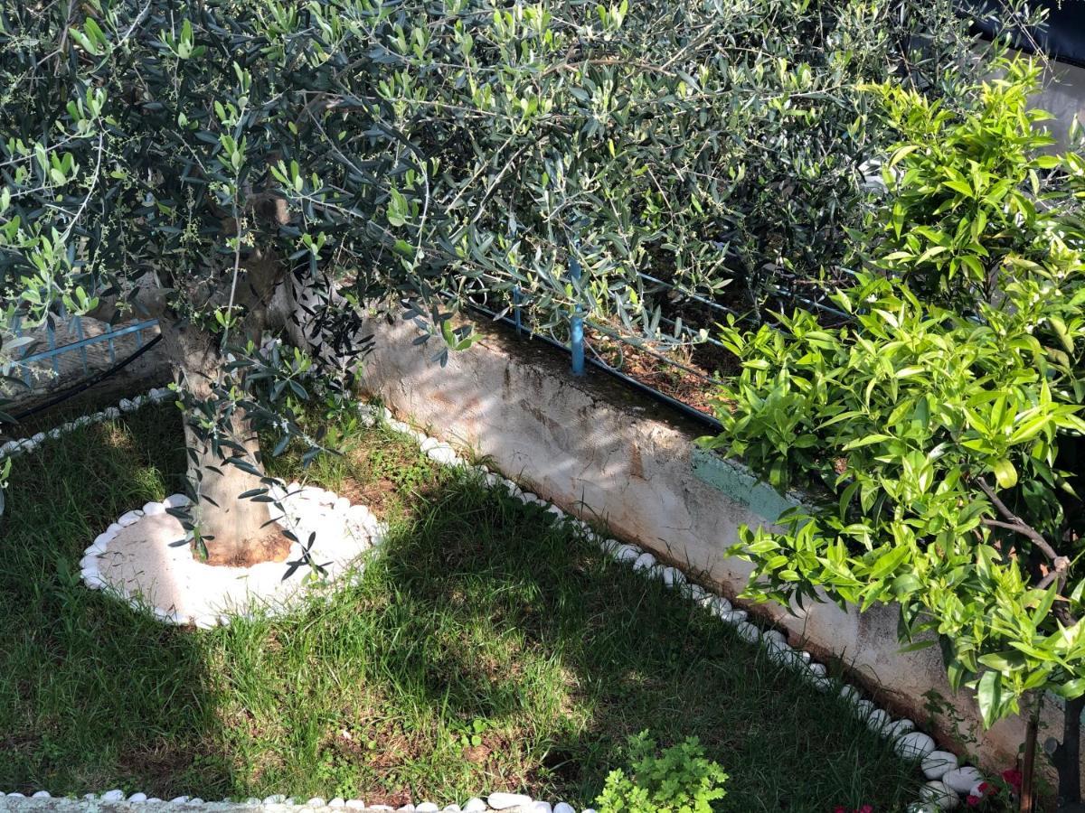 Villa Elvis Caca Ksamil Exteriér fotografie